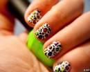 Разноцветные леопардовые пятнышки на ногтях