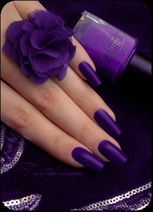 Темно-фиолетовый лак на длинных ногтях