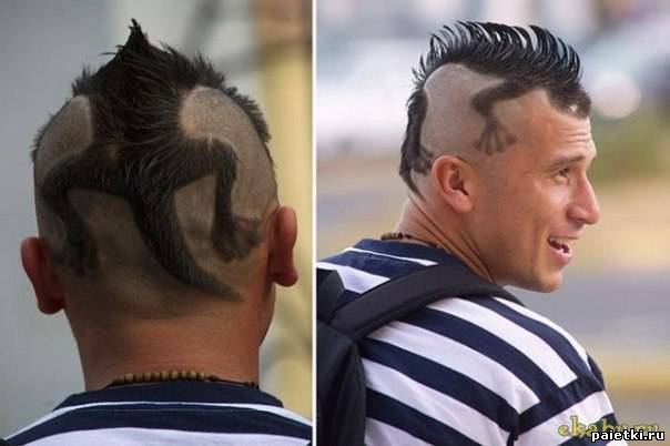 Креатив: Выстриженный хамелеон на голове парня