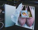 Розовые туфли с котиками от Шарлотты Олимпии