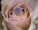 Бриллиантовое кольцо в розовой розе