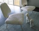 Два белых меховых стула и белая собака