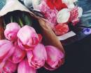 Розовые тюльпаны и разноцветные гвоздики