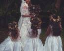 Невеста и девочки в белых платьях