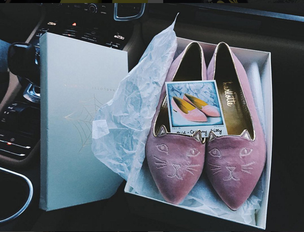 Розовые туфли с котиками от Шарлотты Олимпии