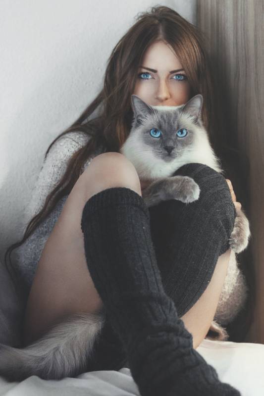 Голубые глаза кошки и девушки в гольфах