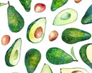 иллюстрация авокадо