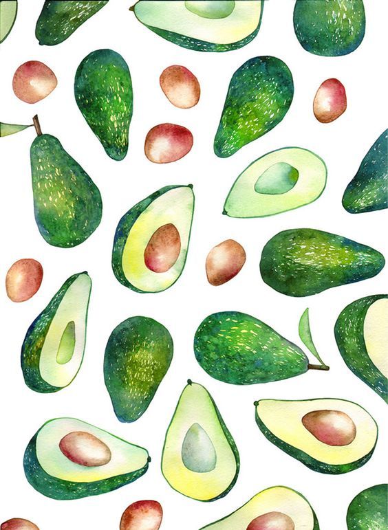 иллюстрация авокадо
