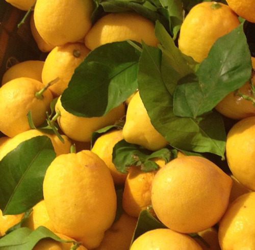 Красивые лимоны