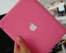 Розовый планшетный компьютер Apple iPad в руке
