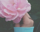 Розовый цветок в руке девушки в голубом свитшоте