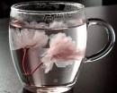Два цветочка жасмина в чашке с водой