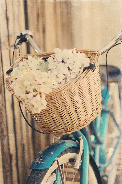 Корзина с белыми цветами на велосипеде
