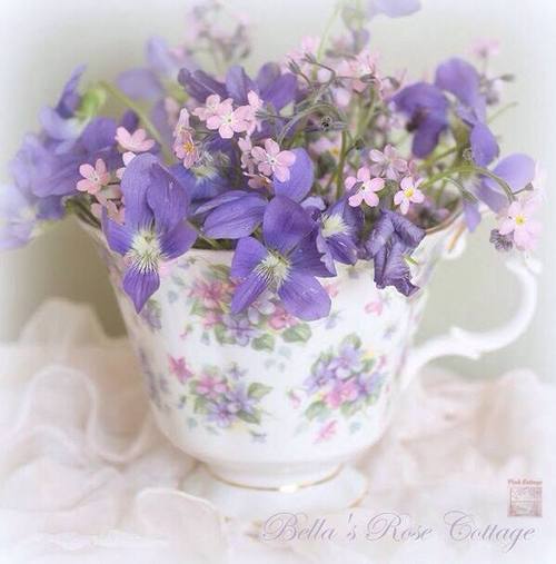 Нежные фиолетовые и розовые цветочки в чашке