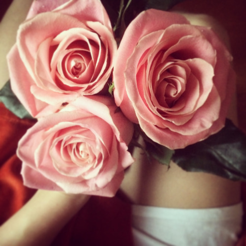 Три большие розовые розы в руке