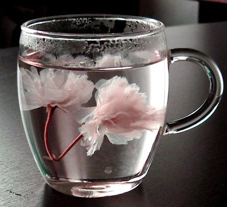 Два цветочка жасмина в чашке с водой