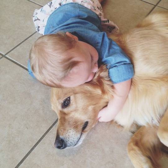 Малыш обнимает собаку