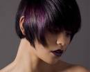 Колорирование фиолетовым цветом волос брюнетки