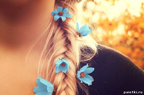 Голубые цветочки во Французской косе