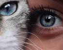 Голубые глаза девушки и её кошки
