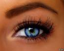 Красивый голубой глаз с длинными ресницами